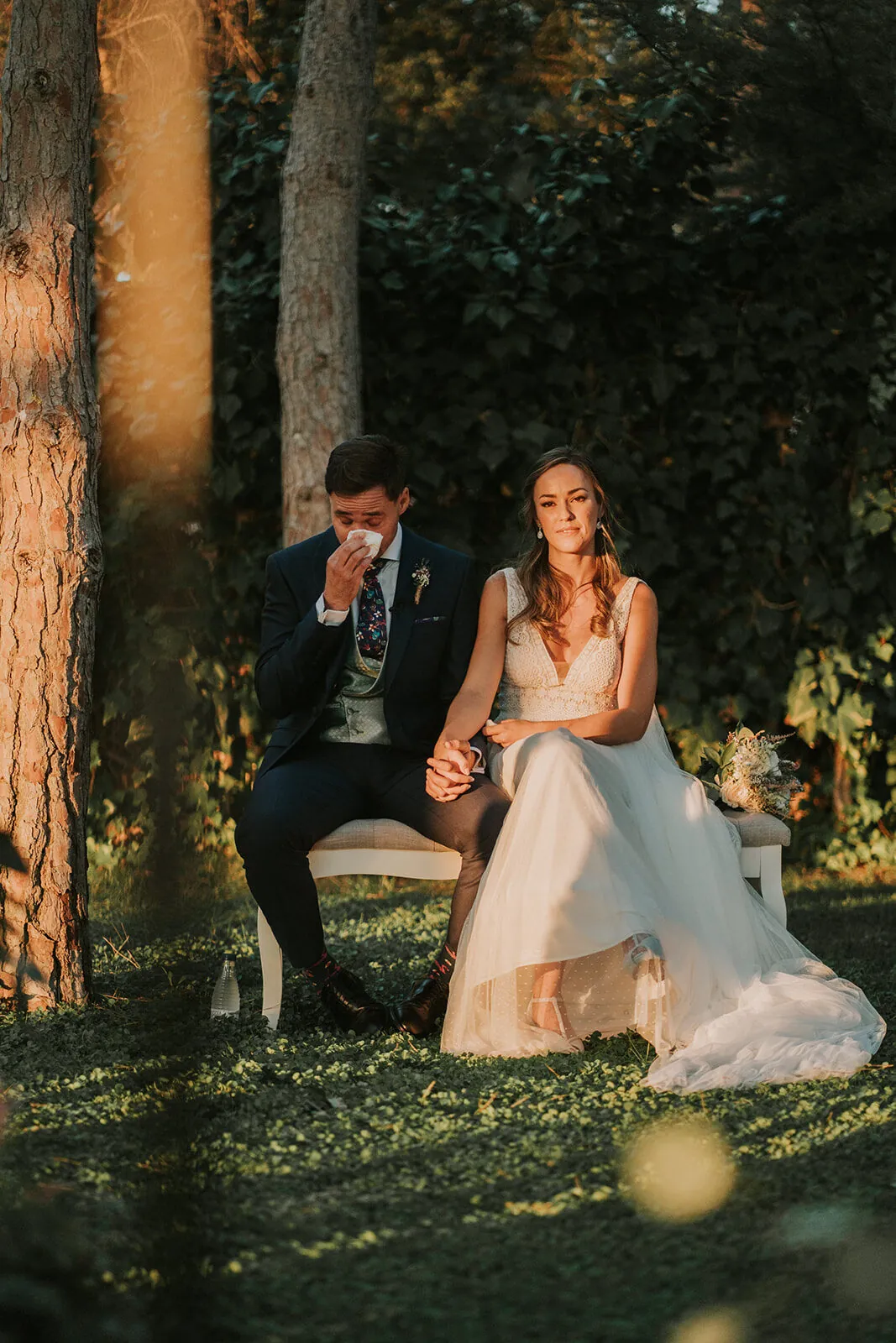 Los novios sentados en un banco del pinar con luz dorada